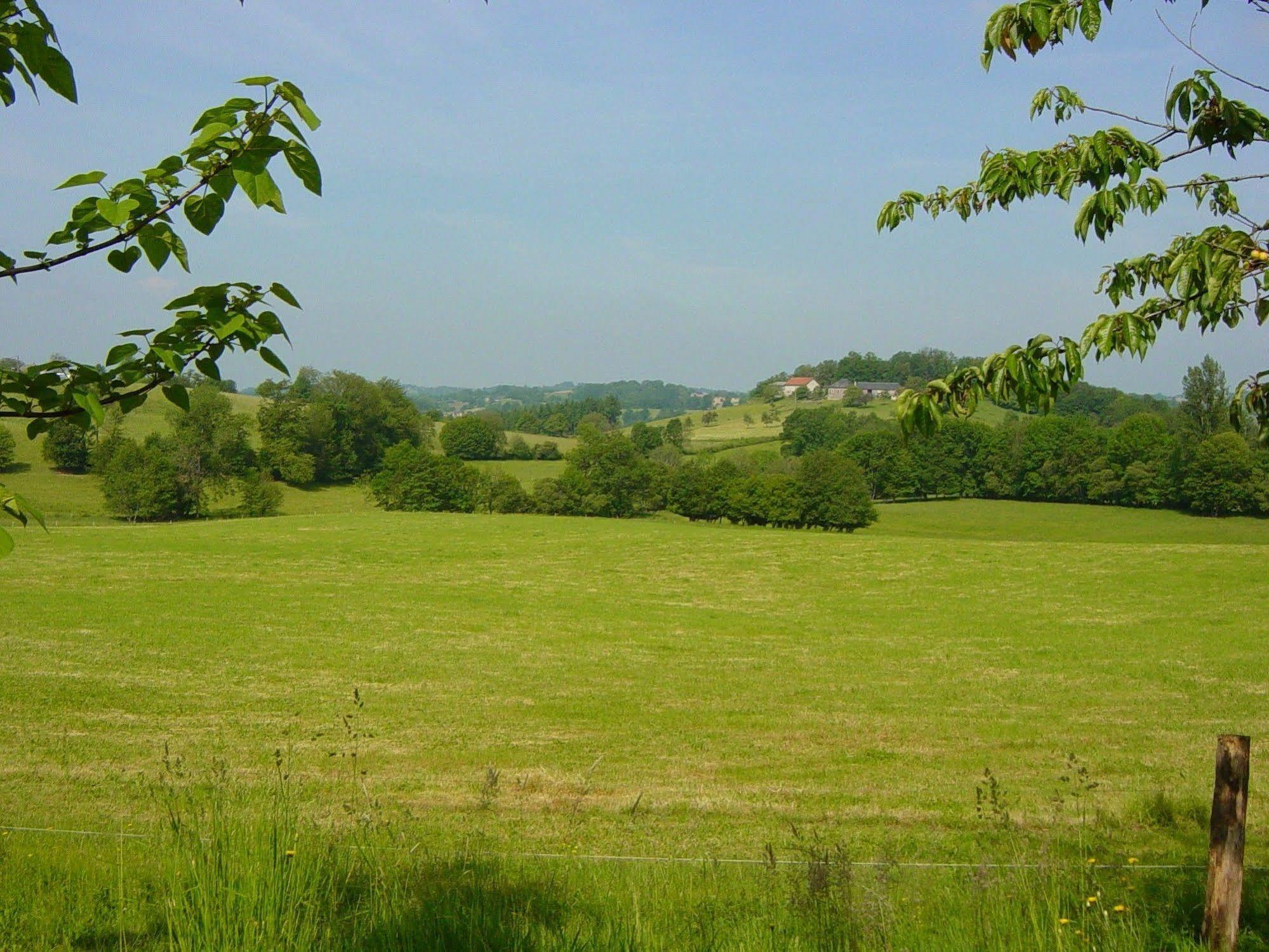 Domaine De La Clauzade Bed & Breakfast Saint-Germain-les-Vergnes Dış mekan fotoğraf