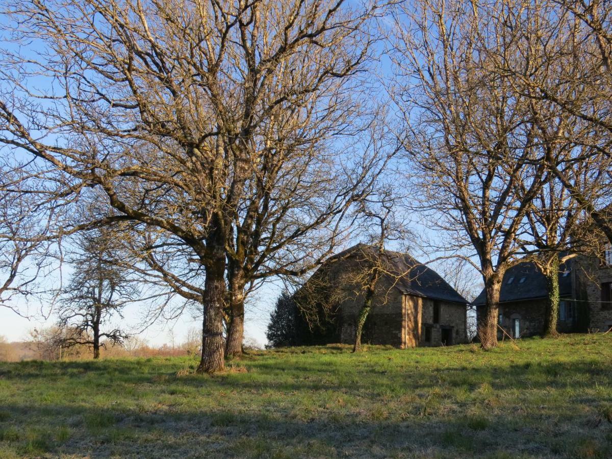 Domaine De La Clauzade Bed & Breakfast Saint-Germain-les-Vergnes Dış mekan fotoğraf